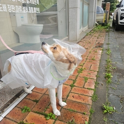 피드에 업로드 된 이미지