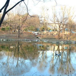 피드에 업로드 된 이미지