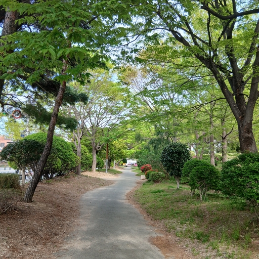 모임 대표 이미지
