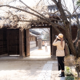 피드에 업로드 된 이미지