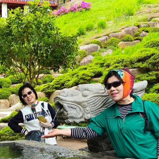 피드 이미지