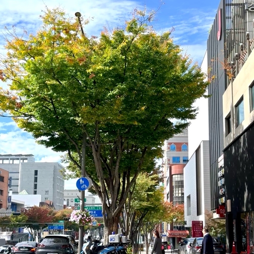 피드 이미지