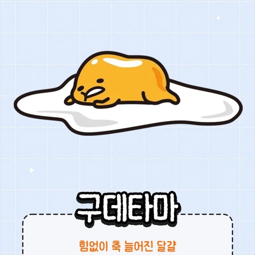 피드 이미지