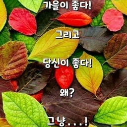 피드에 업로드 된 이미지