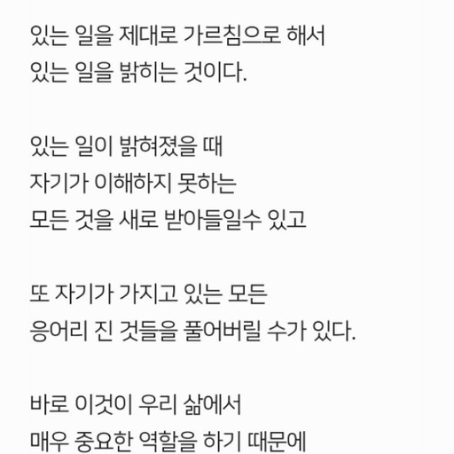 피드 이미지