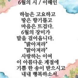 피드에 업로드 된 이미지