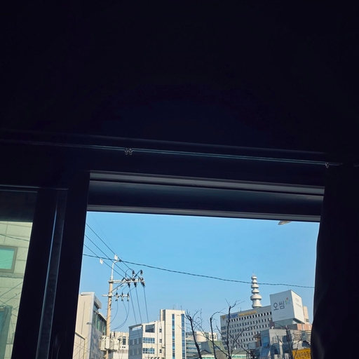 피드 이미지