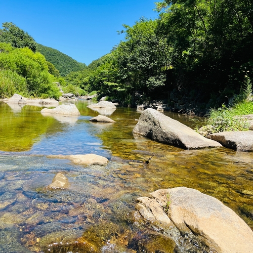 ํผ๋ ์ด๋ฏธ์ง