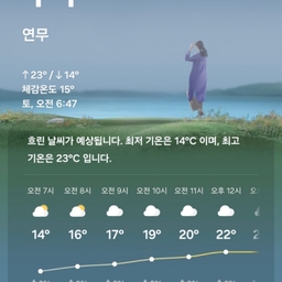 피드에 업로드 된 이미지