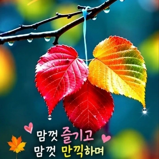 피드 이미지