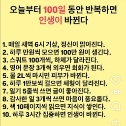 피드에 업로드 된 이미지