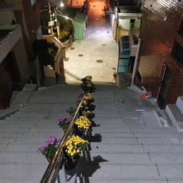 피드에 업로드 된 이미지