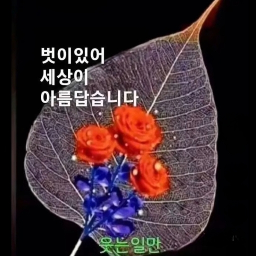 피드 이미지