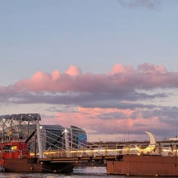 피드에 업로드 된 이미지