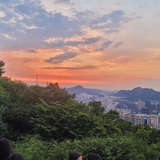 피드 이미지