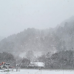피드에 업로드 된 이미지
