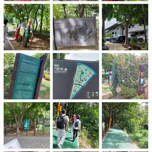 피드 이미지