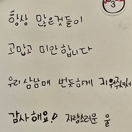피드 이미지