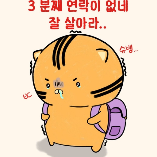피드 이미지