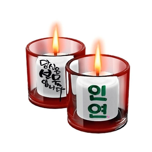 피드 이미지