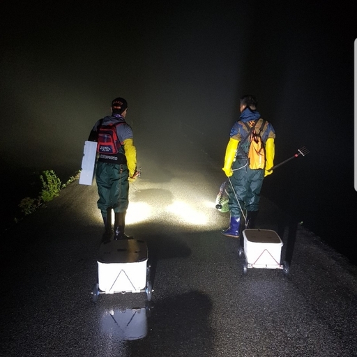 모임 대표 이미지