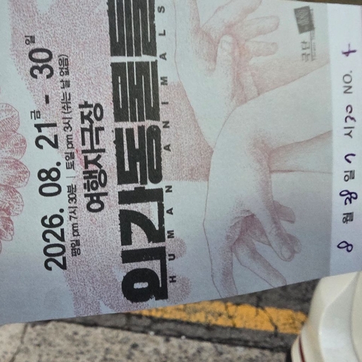 피드 이미지