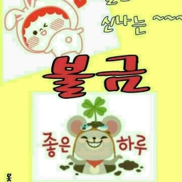 피드에 업로드 된 이미지