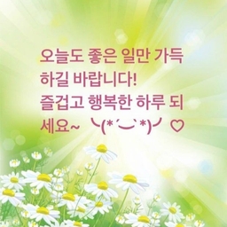 피드에 업로드 된 이미지