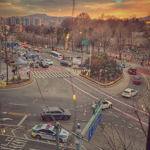 피드 이미지