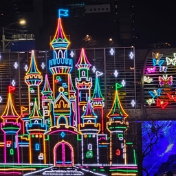 피드에 업로드 된 이미지