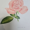 멤버 프로필