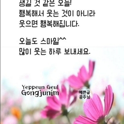 피드에 업로드 된 이미지