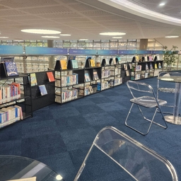 피드에 업로드 된 이미지