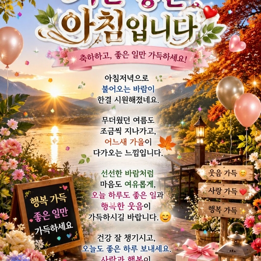 피드 이미지