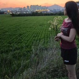 피드에 업로드 된 이미지