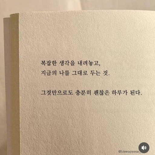피드 이미지