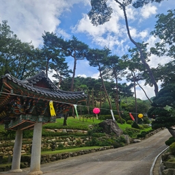 피드에 업로드 된 이미지