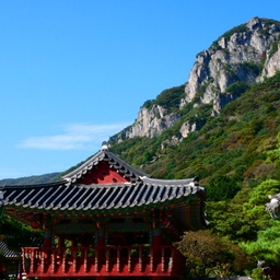 피드에 업로드 된 이미지