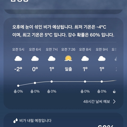 피드 이미지