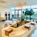 피드 작성자 프로필