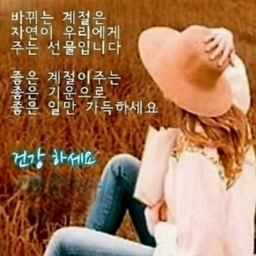 피드에 업로드 된 이미지