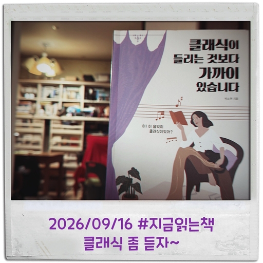 피드 이미지
