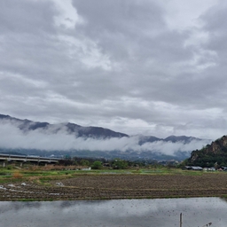 공지사항에 업로드 된 이미지