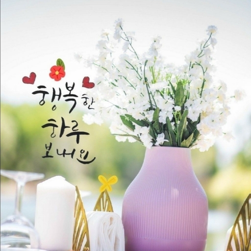 피드 이미지