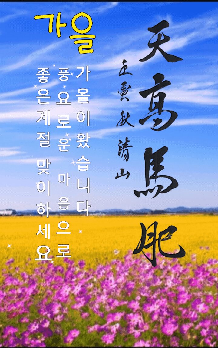 피드 이미지