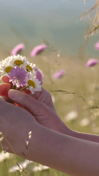 피드에 업로드 된 이미지