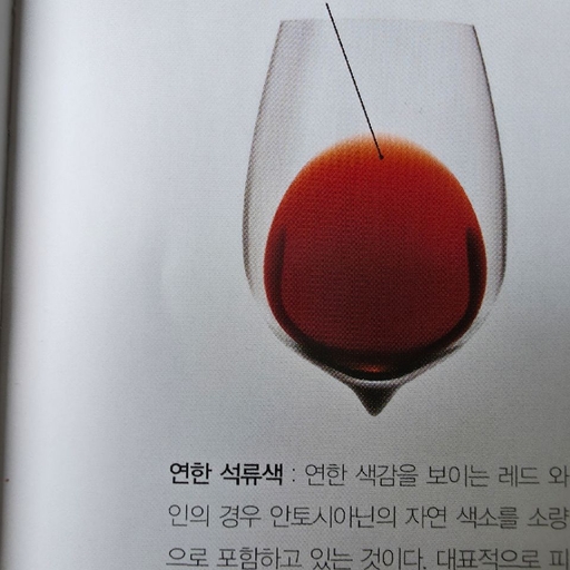 피드 이미지