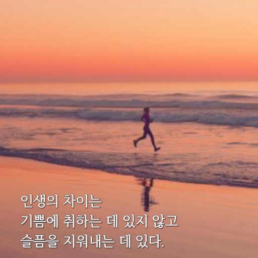 피드 이미지