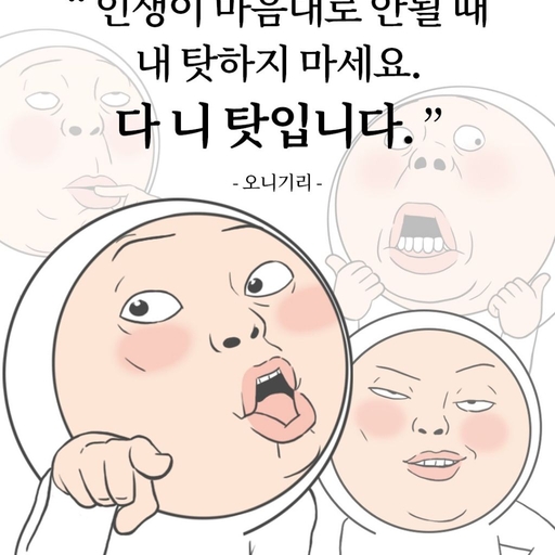 피드 이미지