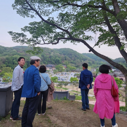 피드 이미지